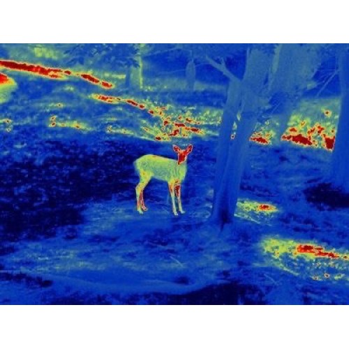 Прицел тепловизионный GUIDE TS450 в Бердске