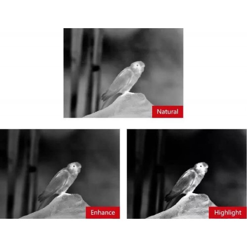 Тепловизионный бинокуляр Guide TN430 400х300, ø35мм, лазерный дальномер в Бердске