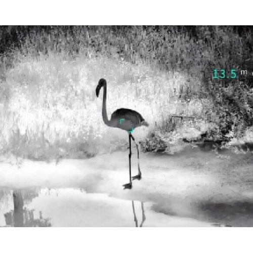 Тепловизионный бинокуляр Guide TN430 400х300, ø35мм, лазерный дальномер в Бердске