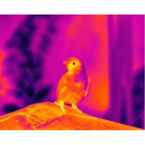 Тепловизионный бинокуляр Guide TN430 400х300, ø35мм, лазерный дальномер в Бердске